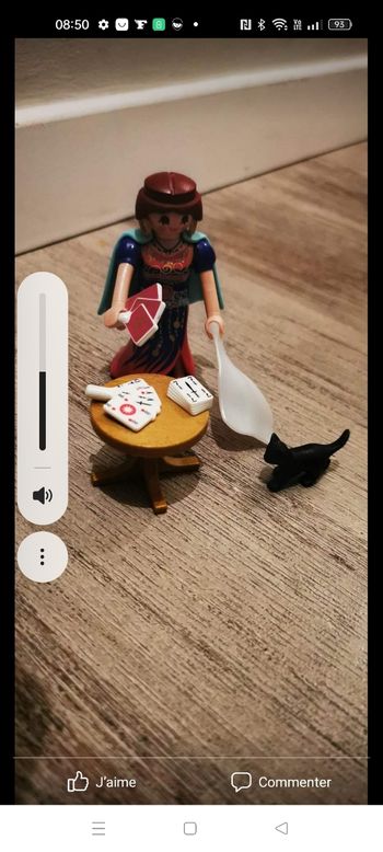 Voyante playmobil