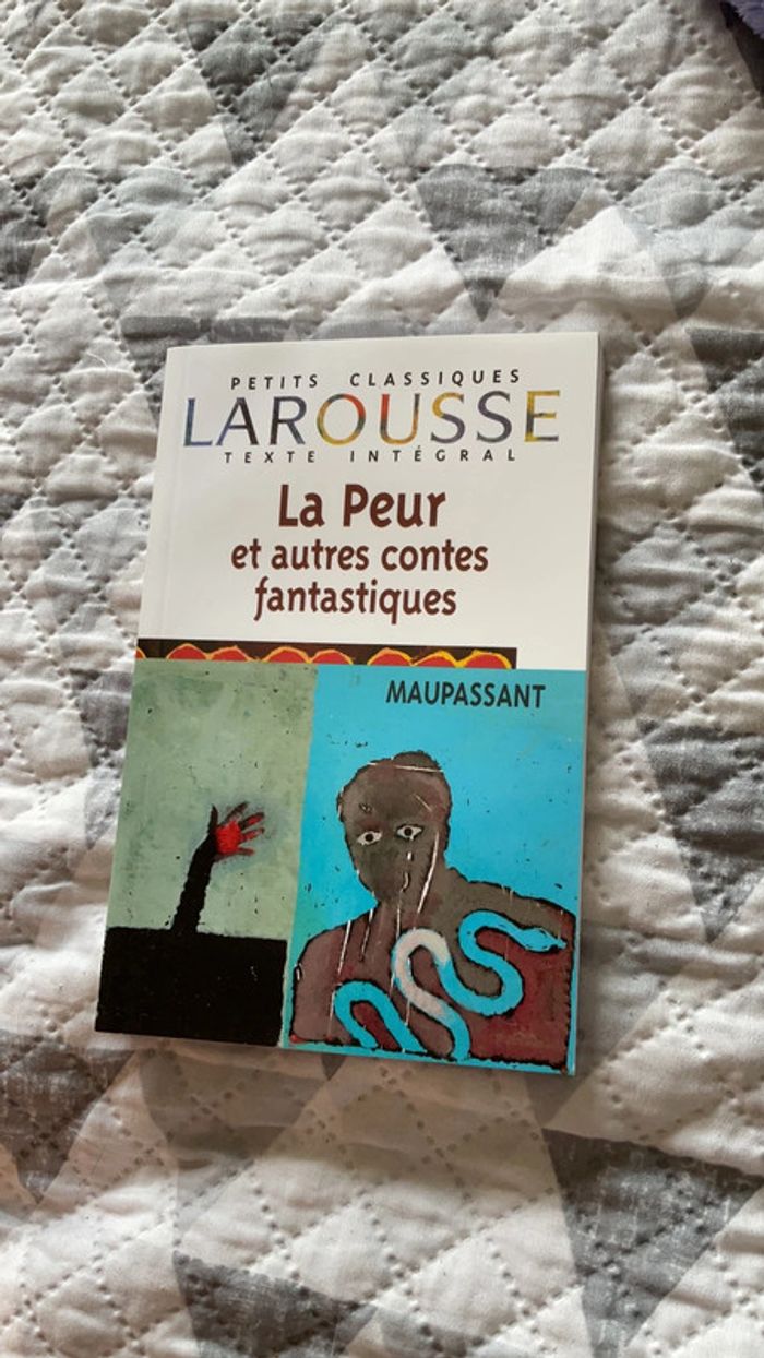 #la peur et autres contes fantastiques Maupassant - photo numéro 2