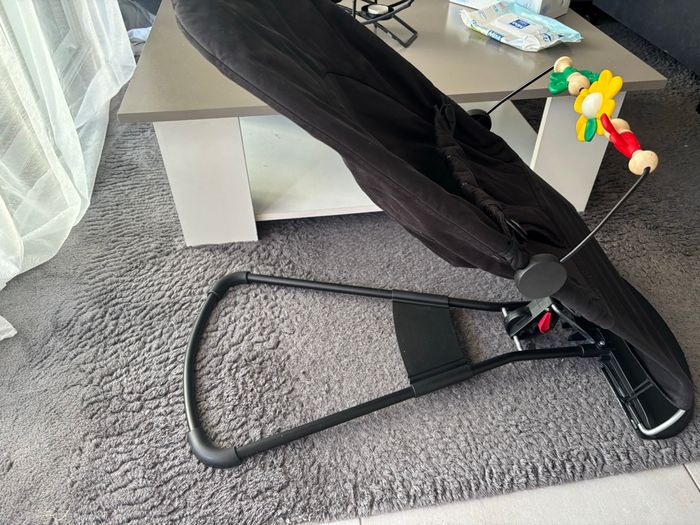 Transat babybjorn - photo numéro 4