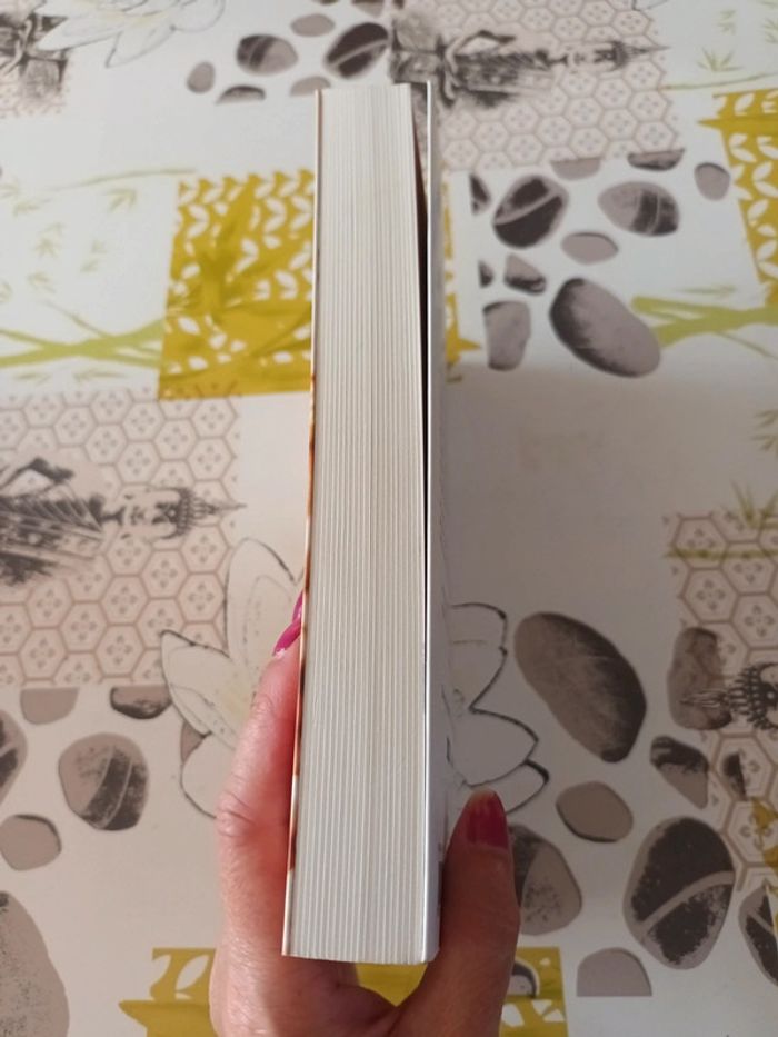 Livre : L'étoile de la liberté de Oriane Lapouge - photo numéro 4