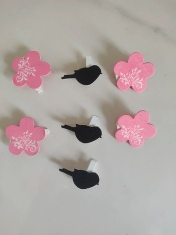 Pince oiseaux et nuage