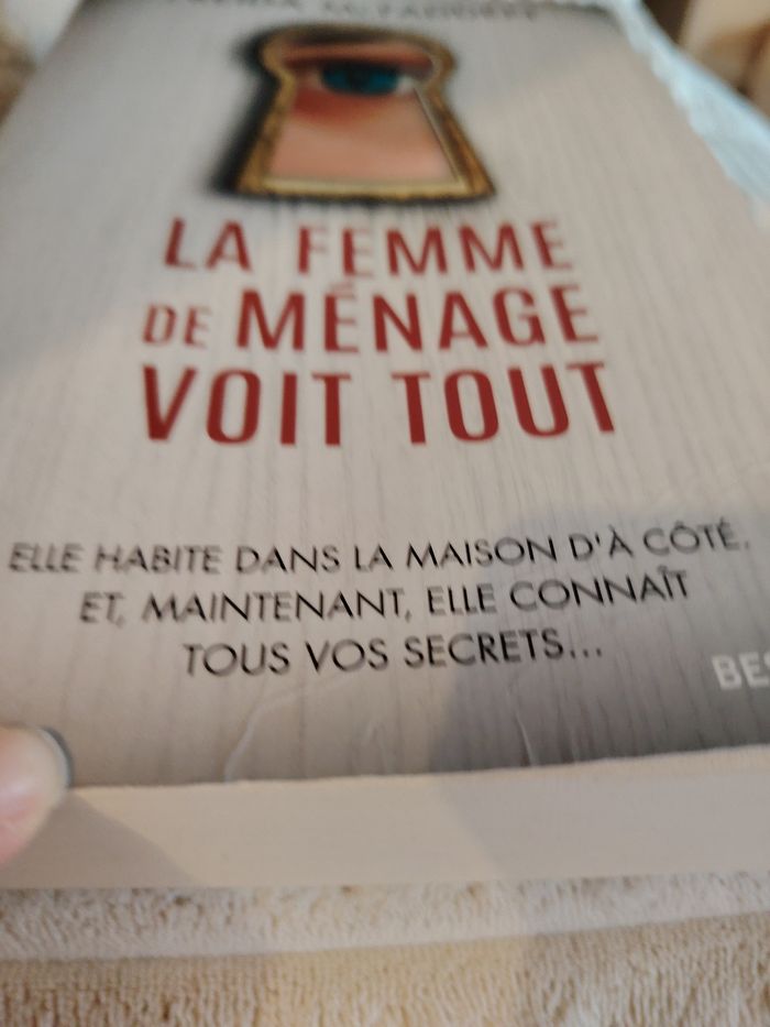 La femme de ménage voit tout - photo numéro 2