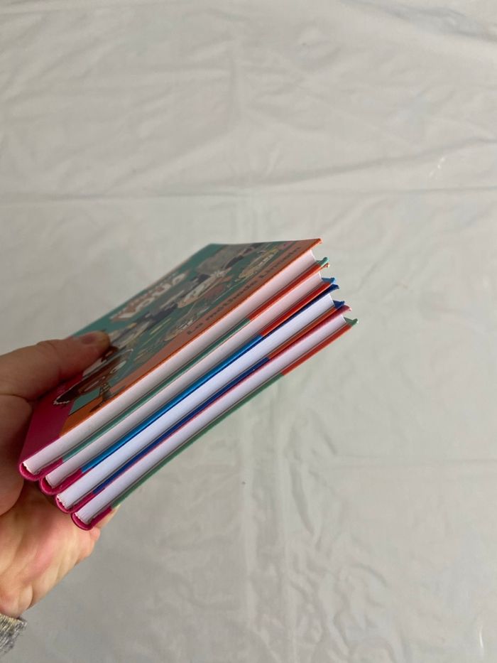 Lot 4 livres La Bibliothèque Rose - Bienvenue chez les Loud - photo numéro 5