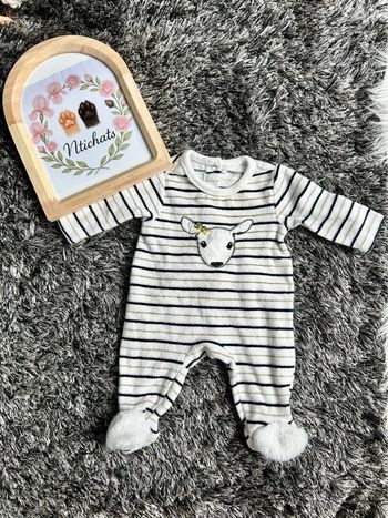 Dors bien velours biche | orchestra | naissance