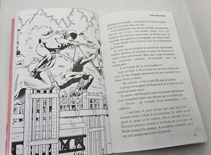 "10 histoires de chevaux".
Fleurus.
280 pages. 
ISBN : 978.2.215.15475.4 - photo numéro 3