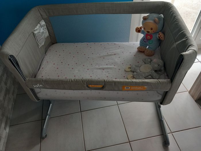 Co-dodo - photo numéro 2