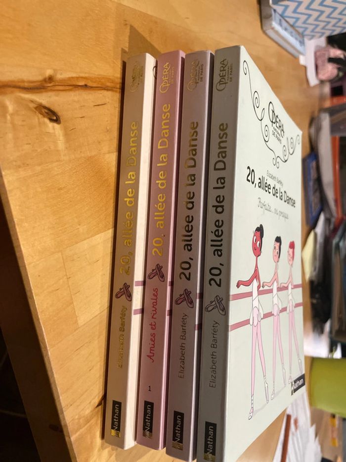 Livres 20, allée de la danse - photo numéro 2