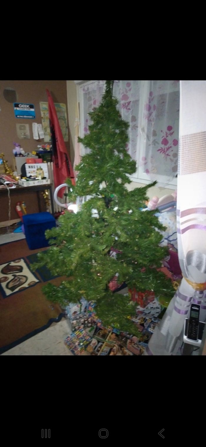 Sapin de Noël - photo numéro 2