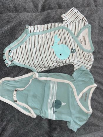 Lot de 2 bodys manches courtes 3 mois
