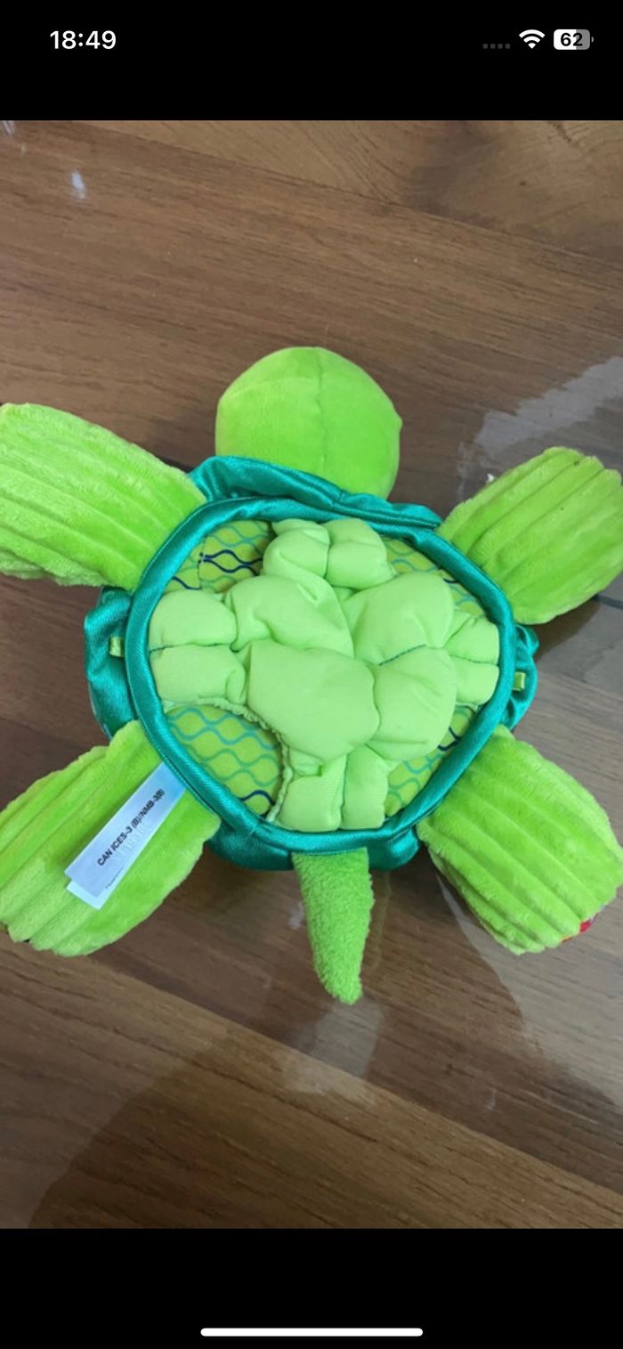 Cache cache tortue - photo numéro 2