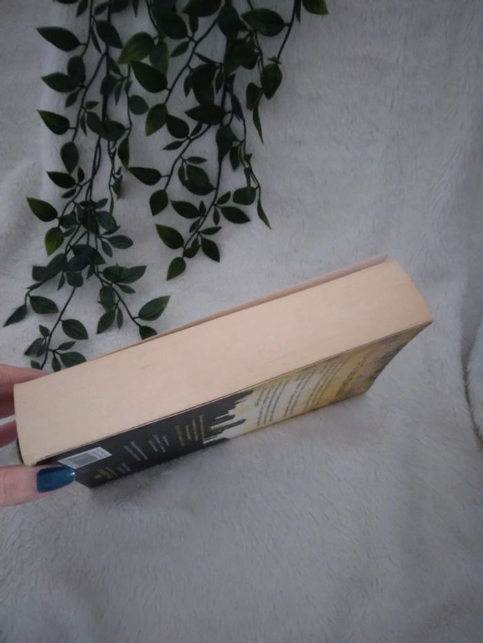 🌸Livre romance The mortal instrument 🌸 - photo numéro 4