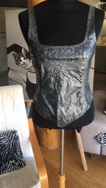 Top en faux python