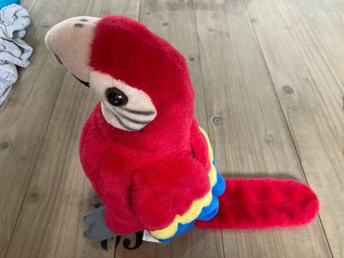 Peluche perroquet