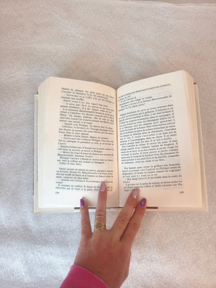 Livre le visiteur de l'été - photo numéro 3