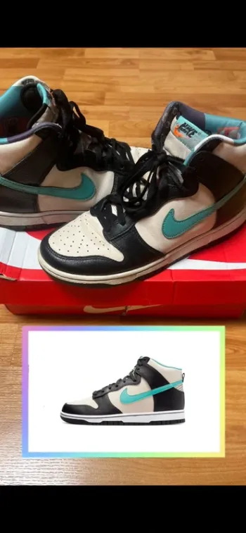 Nike Dunk EMB