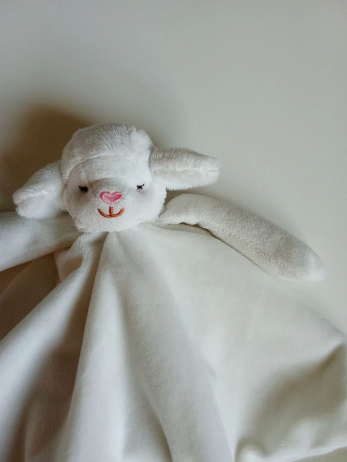 Doudou - photo numéro 2