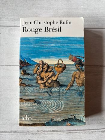 Rouge Bresil Jean Christophe rufin