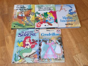 Lot livres disney