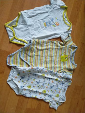 Lot 3 bodies 23 mois