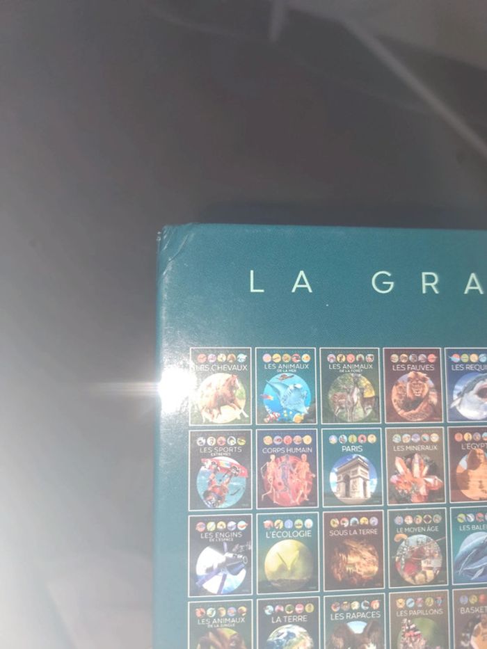 Livre Les Animaux en danger - photo numéro 4