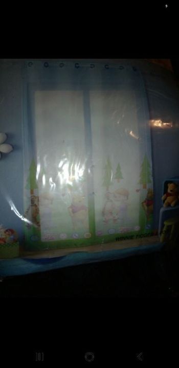 Rideau Winnie tigrou