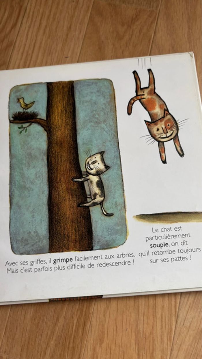 Livre les chat encyclopédie Larousse - photo numéro 8