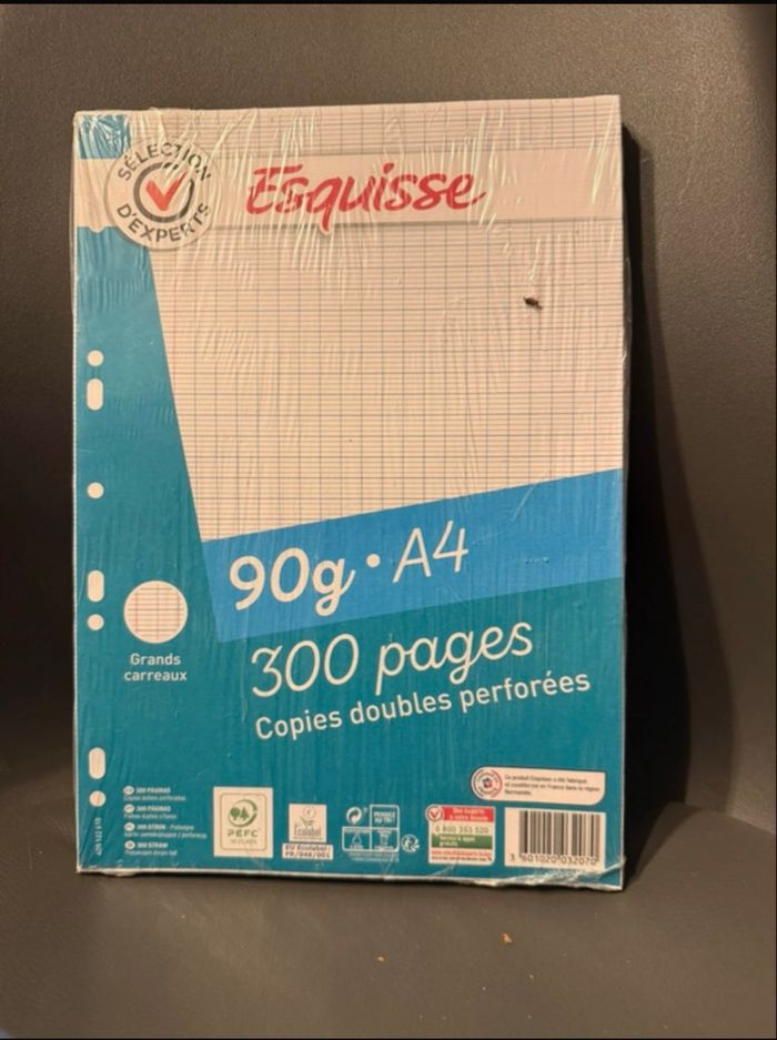 Lot de feuilles simples et doubles - photo numéro 4