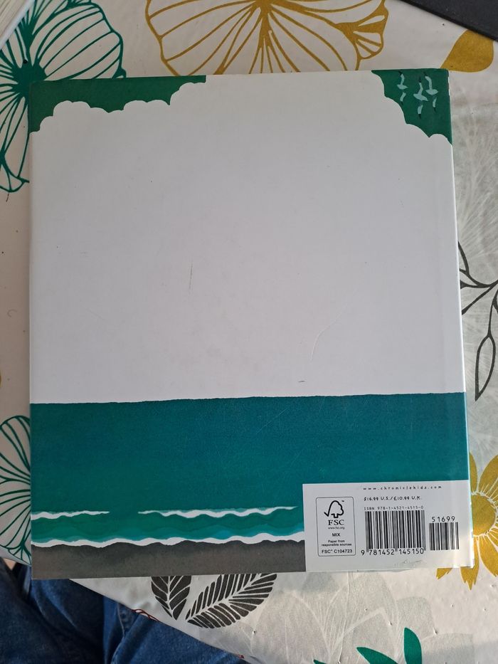 Over the ocean - photo numéro 2