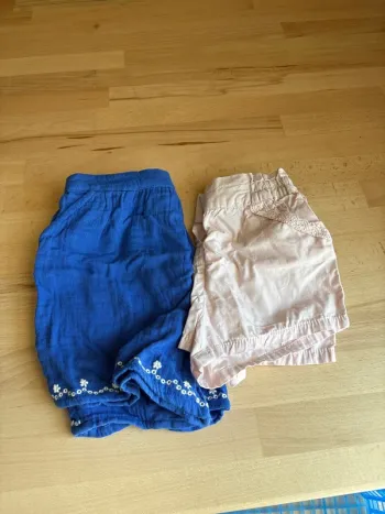 Lot 2 shorts