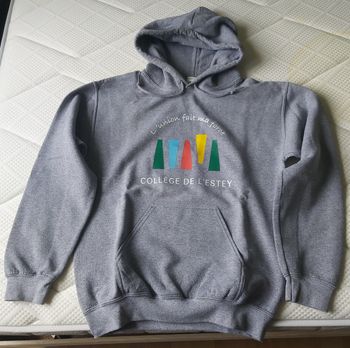 Sweat à capuche gris 14 ans