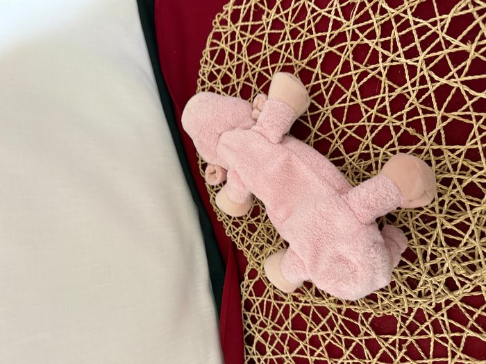 trousse cochon - photo numéro 4