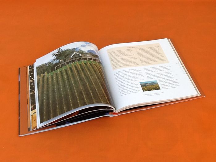 Philippe Faure-Brac La cave idéale EPA Editions - photo numéro 3