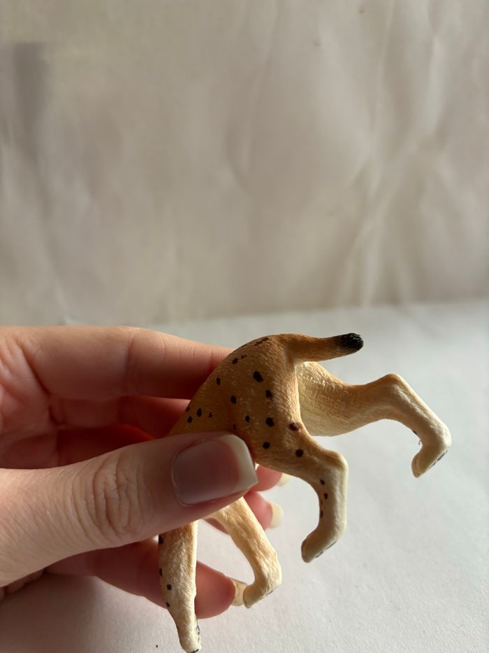 Lynx Schleich - photo numéro 6