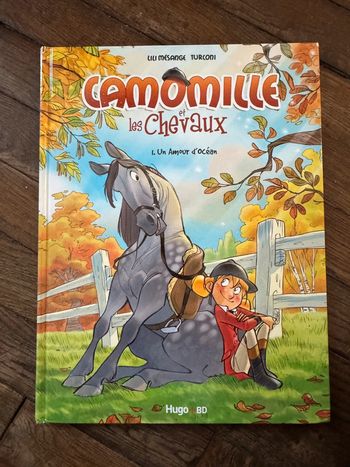 Bande dessinée camomille et les chevaux