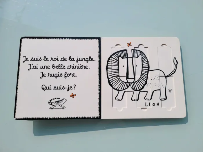 Livre-jeu éditions Casterman 🦓 Safari 🐘 - photo numéro 6