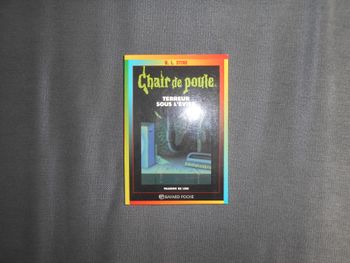Livre Chair de poule : Terreur sous l'évier