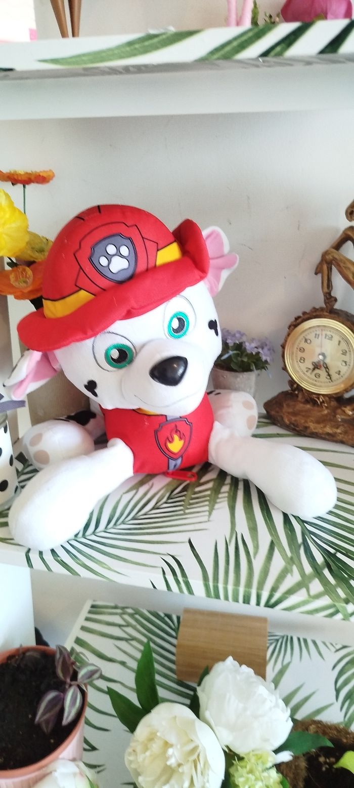 Peluche Disney paw patrol 🌿