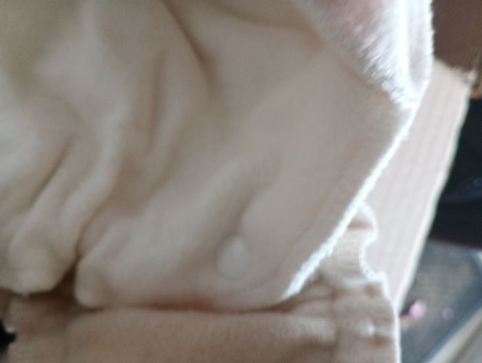 Lot de couches lavables en laine - photo numéro 6