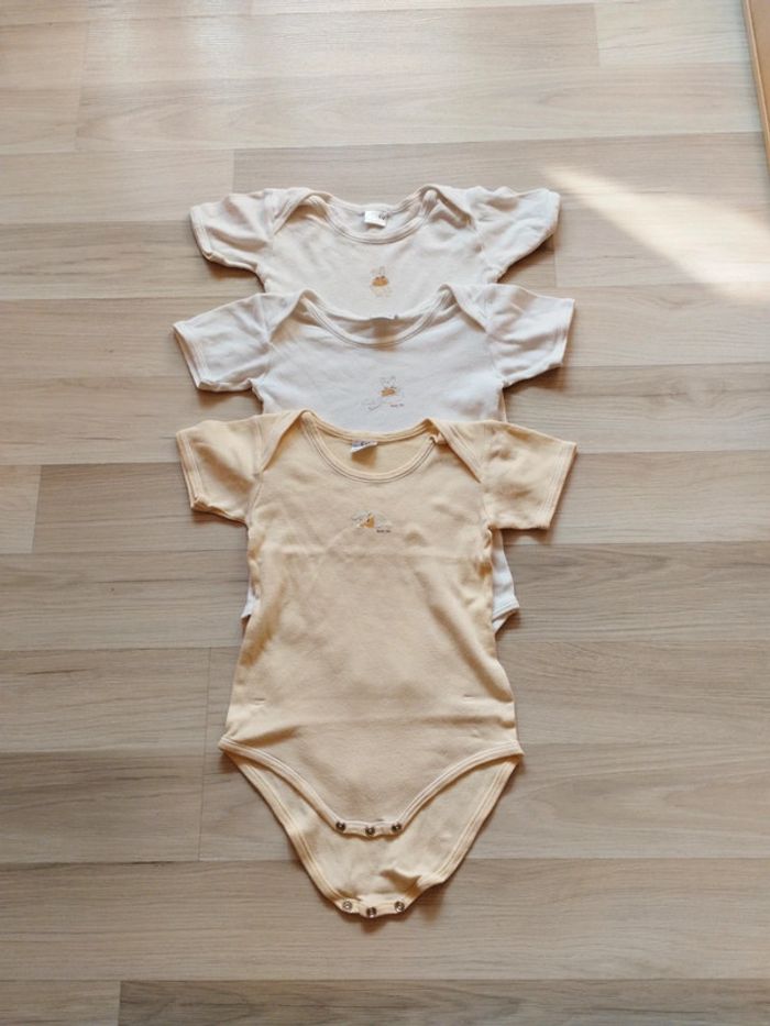 Lot de 3 bodies 36 mois