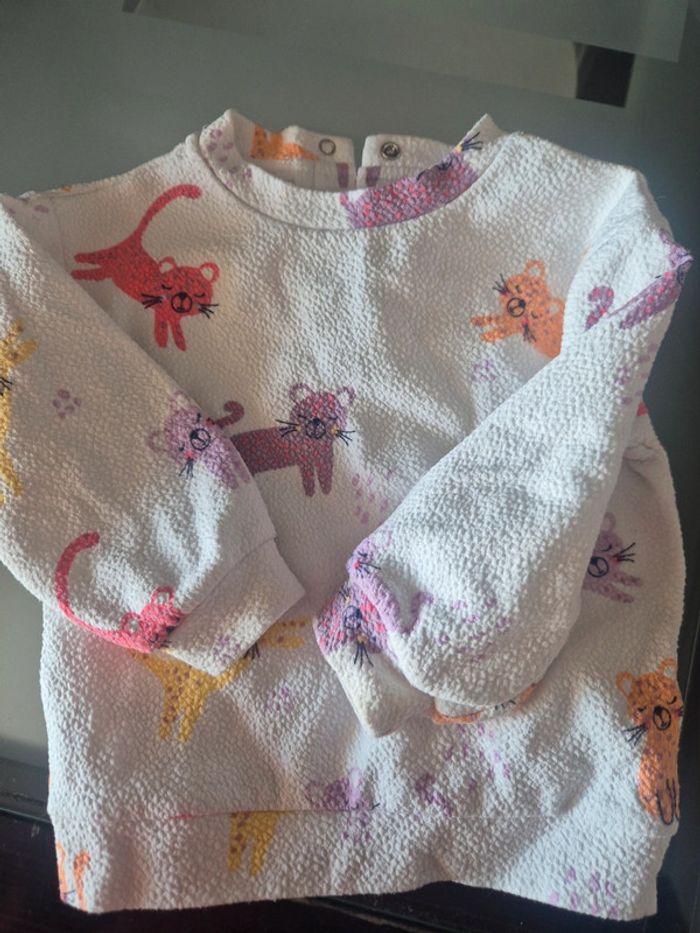 Pull gemo 18 mois