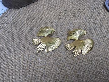 Boucles d’oreilles mile Mila acier inoxydable or fleur de ginkgo