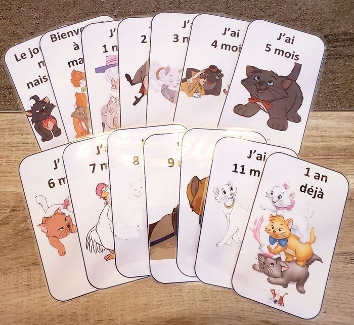 14 cartes étape - photo numéro 3