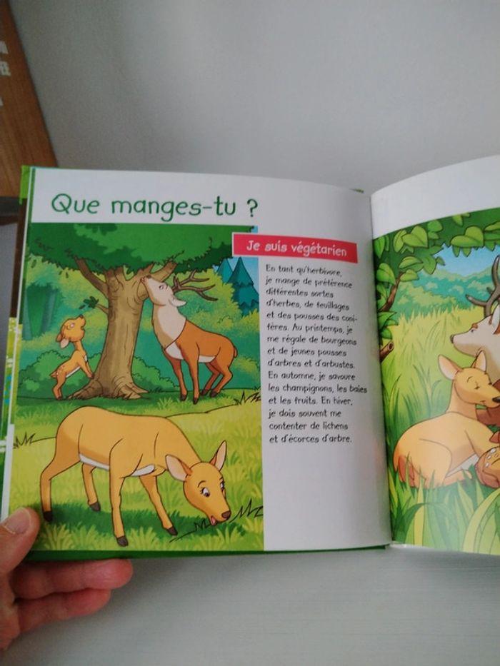 Altaya Les animaux de la forêt n°1 Le cerf - photo numéro 7