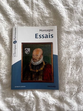 Montaigne, essais