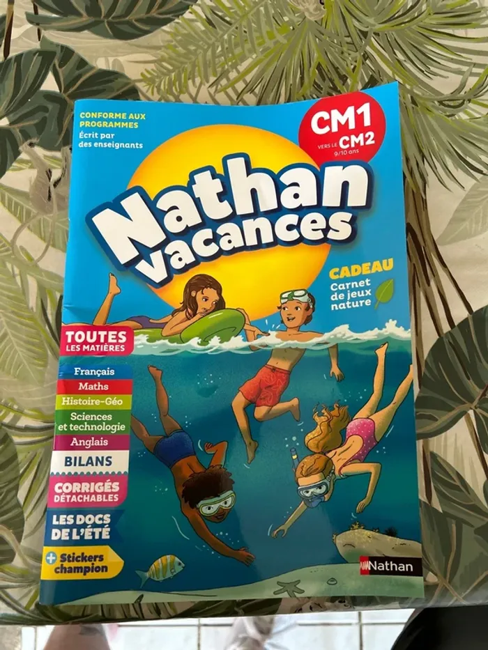 Cahier de vacances Nathan