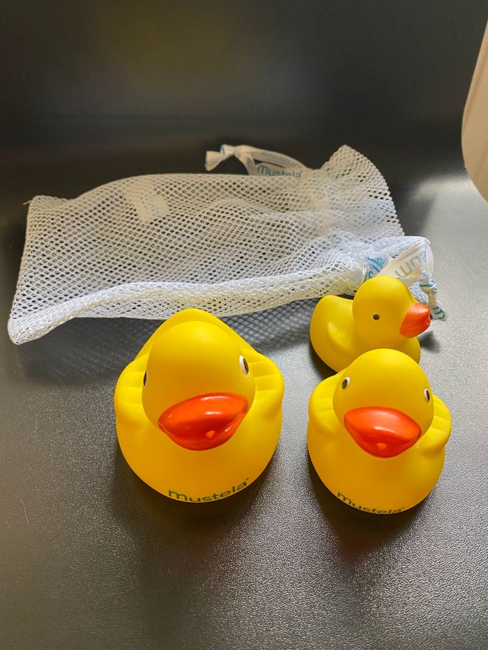 Filet contenant 3 canard de bain