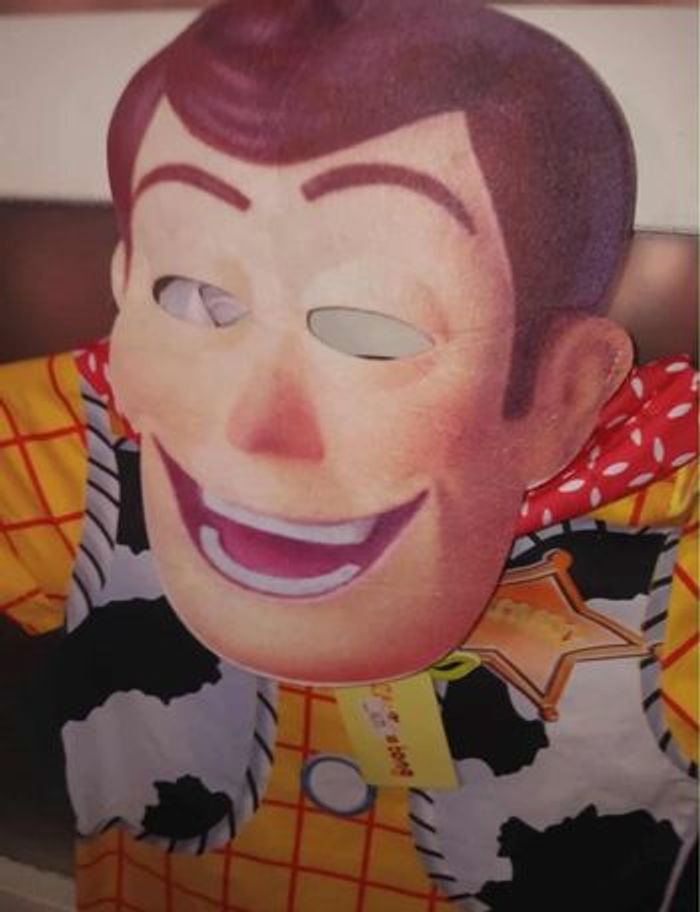 Déguisement 6 ans Woody Toy Story - photo numéro 4