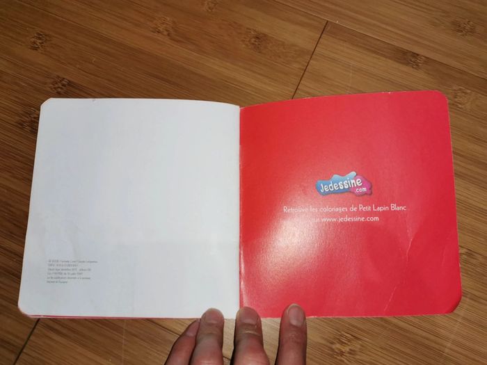 Petit Lapin Blanc est un coquin - photo numéro 17