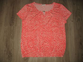 TEE SHIRT MC CORAIL ET BLANC "SCOTTAGE" - TAILLE 3 - n°07