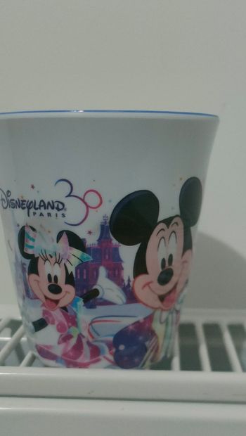 Gobelet Disneyland 30 ans